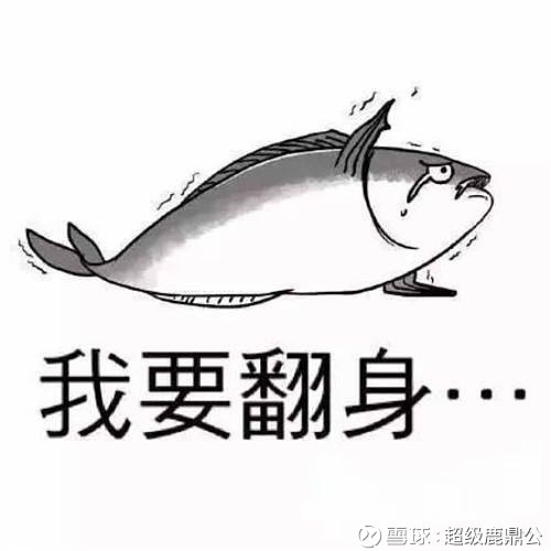 2019-03-07 原帖配图 22